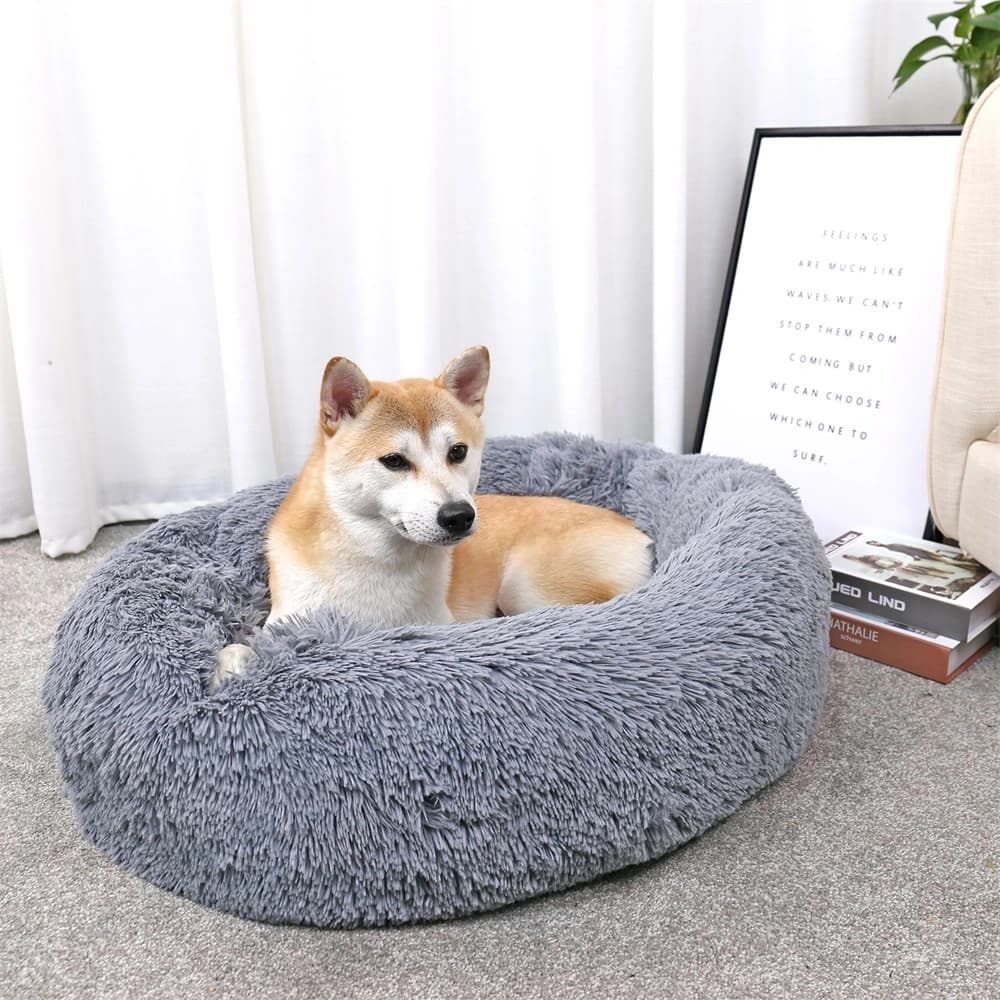 Hangzhou Tianyuan Pet Products Co — Pet Supplies & Accessories